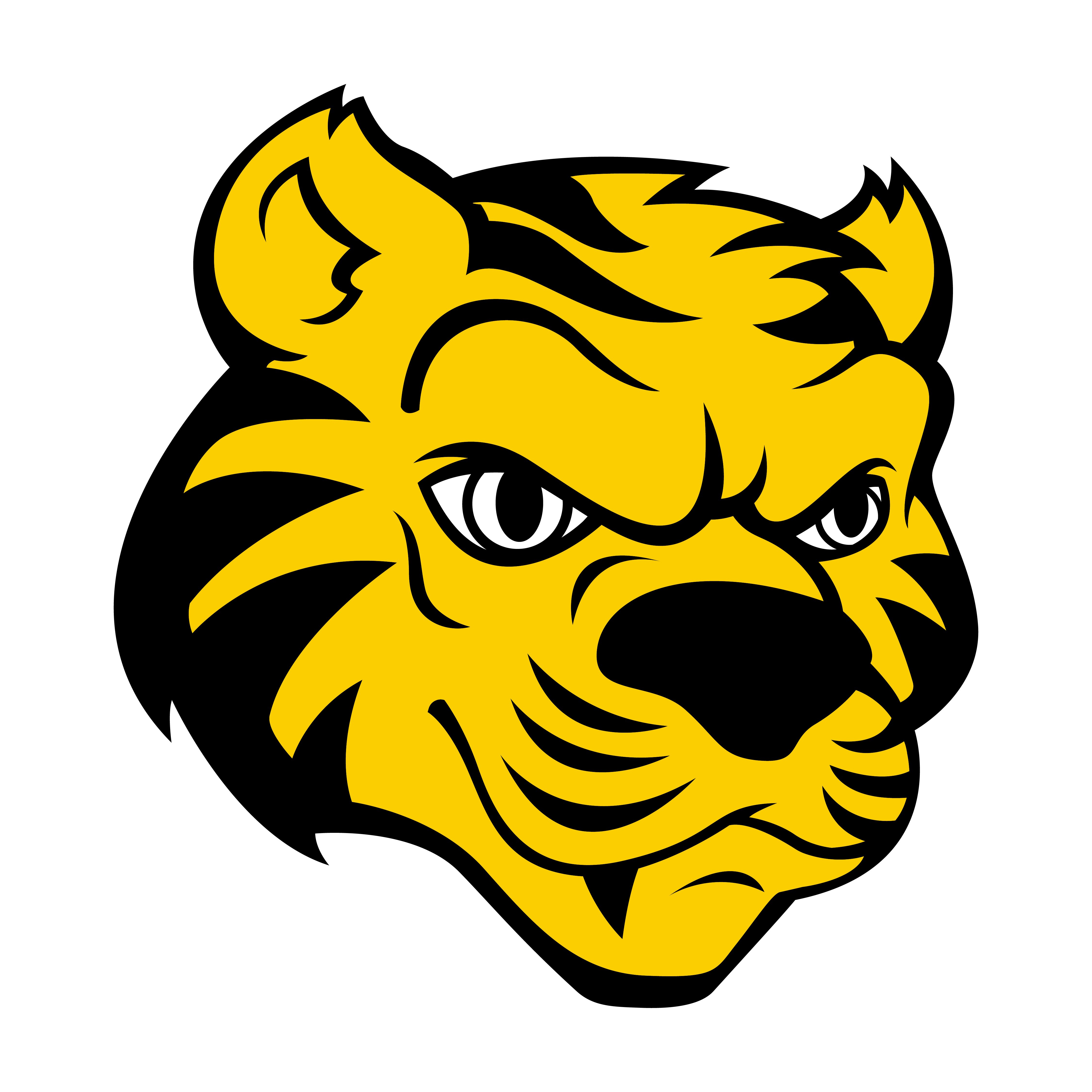 tiger head logo